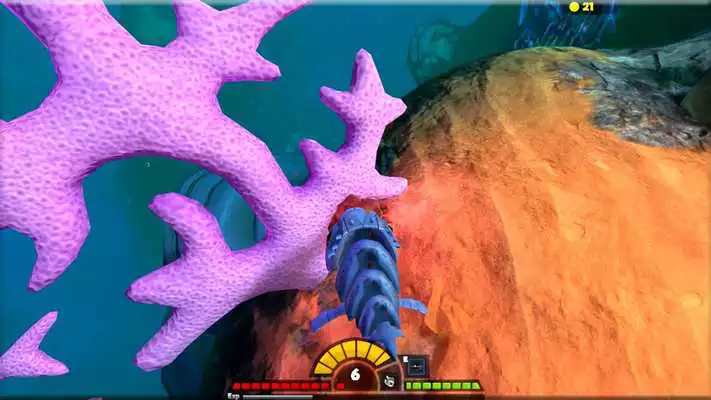 Play feed and grow - fish Play feed and grow - fish