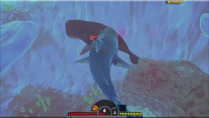 Play Feed and grow shark fish