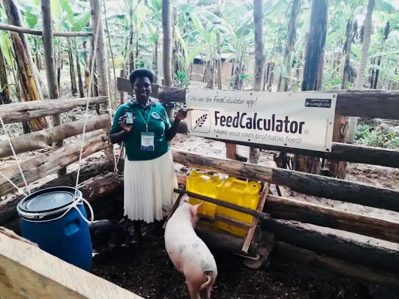 Play Feed Calculator as an online game online Feed Calculator with UptoPlay Play Feed Calculator as an online game Feed Calculator with UptoPlay