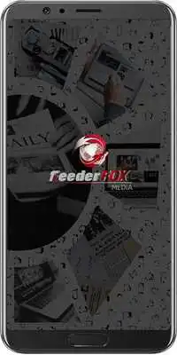 Play Feederfox