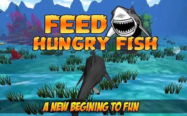 Play Feed Hungry Fish