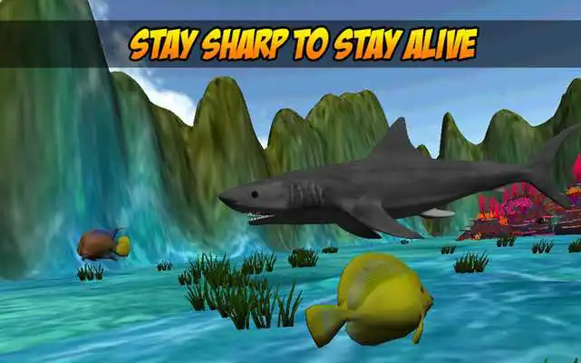 Play Feed Hungry Fish