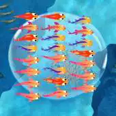 Free play online Feeding Frenzy - Nano Fish APK