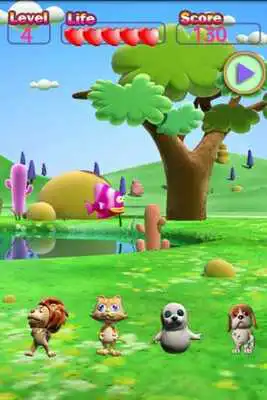 Play Feeding the Pet Play Feeding the Pet