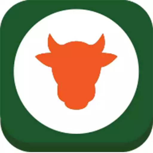 Free play online Feed Master APK Free play online Feed Master APK