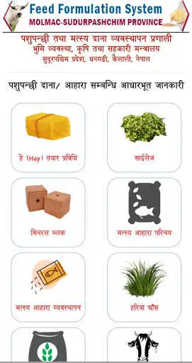 Play Feed Sudurpashchim as an online game Feed Sudurpashchim with UptoPlay