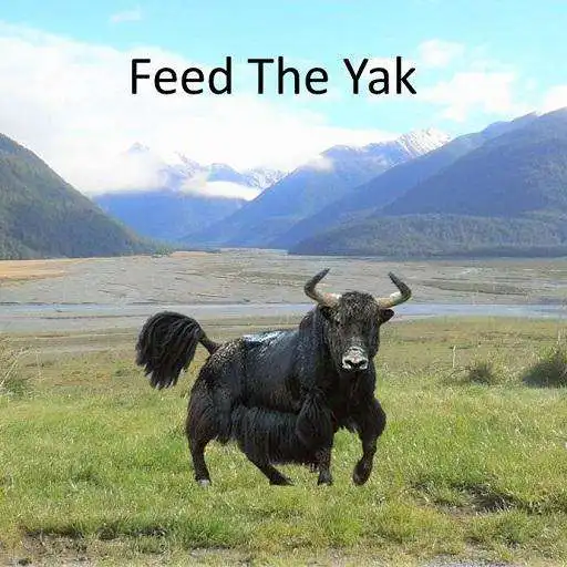 Play Feed The Yak APK