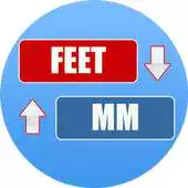 Free play online Feet to MM Converter APK