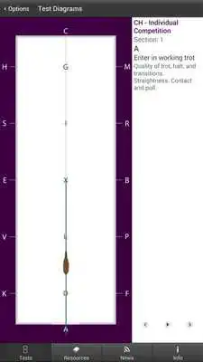 Play FEI EquiTests 1