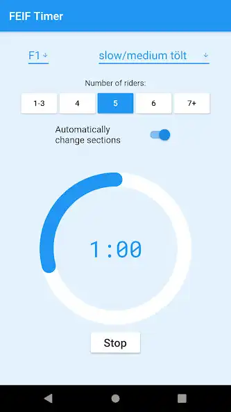 Play FEIF Timer as an online game FEIF Timer with UptoPlay