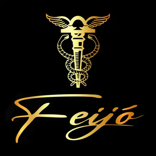 Play Feijó Contabil. e Consultoria APK