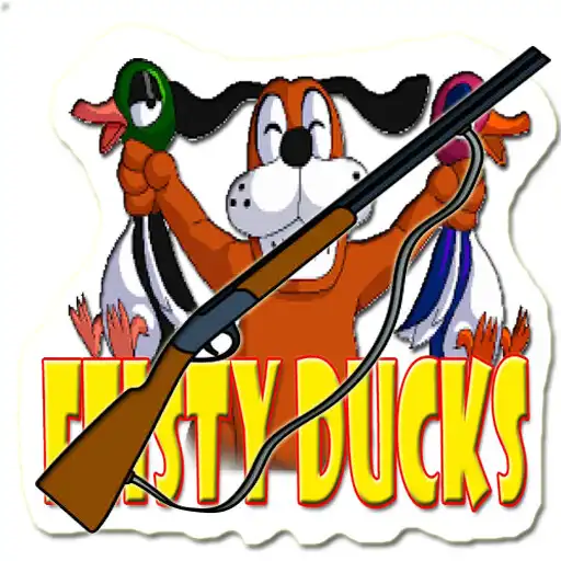 Play feisty ducks APK