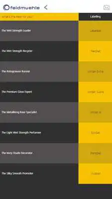 Play Feldmuehle Play Feldmuehle