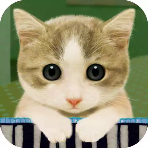 Free play online Feline Synth APK Free play online Feline Synth APK