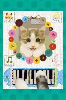 Play Feline Synth
