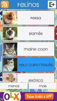 Play Felinos