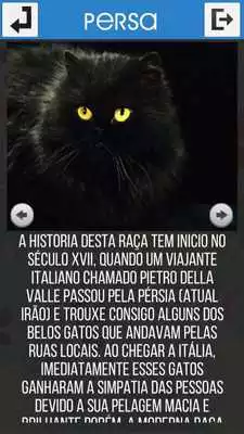 Play Felinos