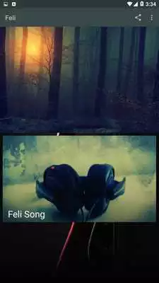 Play Feli