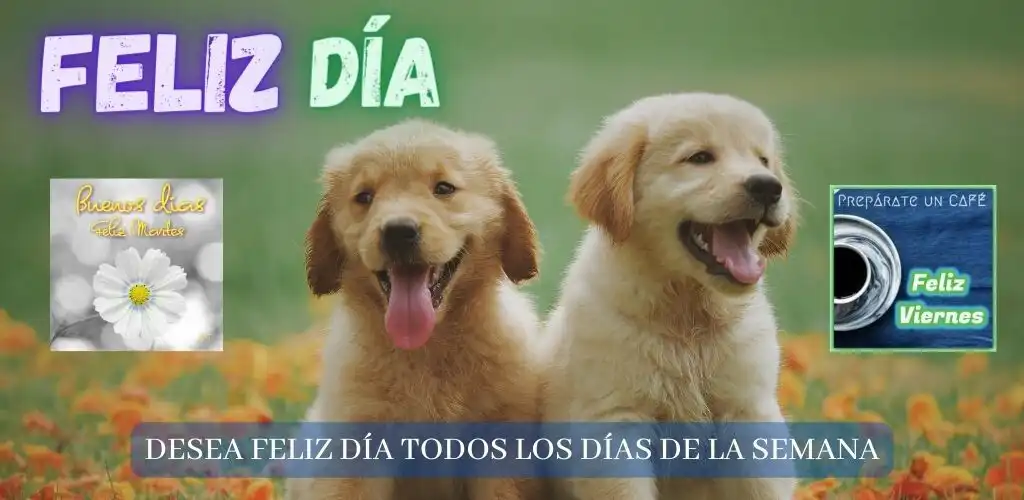 Play Feliz Día  and enjoy Feliz Día with UptoPlay