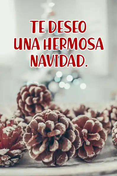 Play Feliz Navidad 2024, Saludos  and enjoy Feliz Navidad 2024, Saludos with UptoPlay