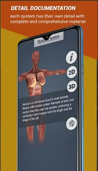 Female Anatomy3D Female Organs online game with UptoPlay