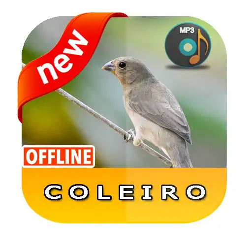Play Female Coleiro Macheando APK Play Female Coleiro Macheando APK