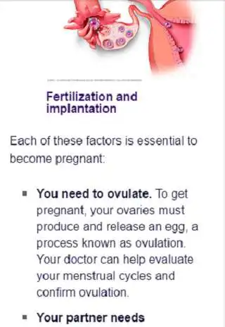 Play Female Fertility Protocols Natural Pregnancy Boost as an online game Female Fertility Protocols Natural Pregnancy Boost with UptoPlay