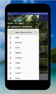 Play Femea canto de Corrupiao