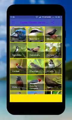 Play Femea canto de Corrupiao