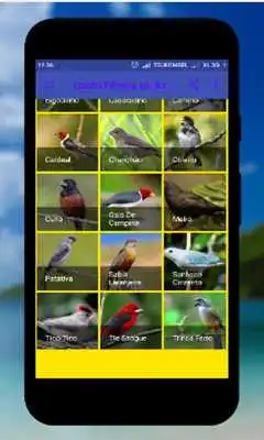 Play Femea canto de Corrupiao