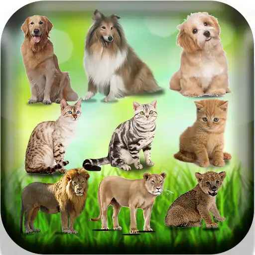 Play Femelle des animaux - Nom des APK Play Femelle des animaux - Nom des APK
