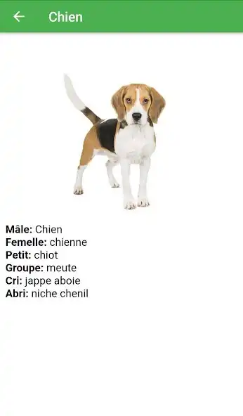 Play Femelle des animaux - Nom des  as an online game Femelle des animaux - Nom des  with UptoPlay