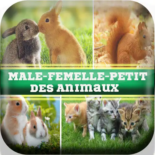 Play Femelle des animaux- Noms des  APK