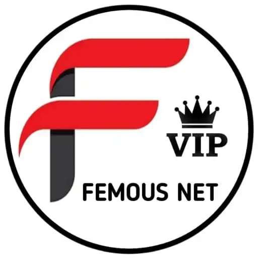 Play FEMOUS NET VIP VPN APK
