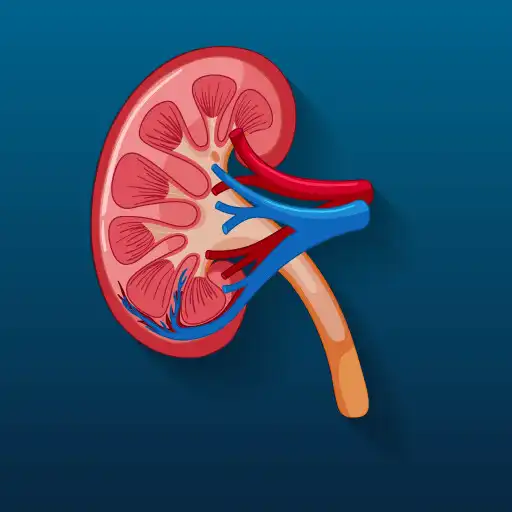 Play FENa Calculator - Sodium Frac APK