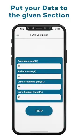 Play FENa Calculator - Sodium Frac as an online game FENa Calculator - Sodium Frac with UptoPlay