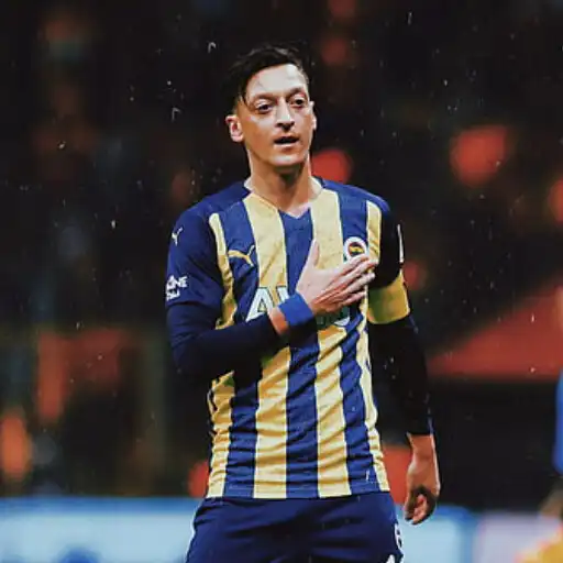 Play Fenerbahce Wallpapers HD APK