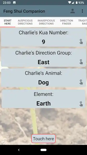 Play Feng Shui Companion as an online game Feng Shui Companion with UptoPlay