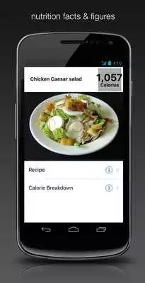 Play Fennelly Fitness