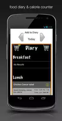 Play Fennelly Fitness