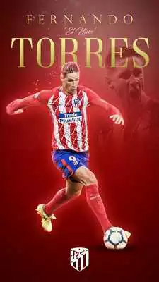 Play Fernando Torres Wallpapers