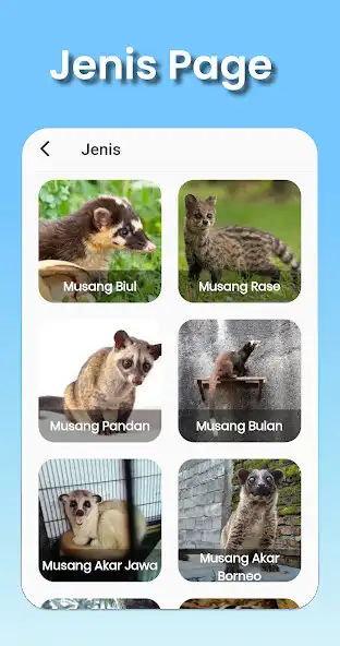 Play Ferret Lovers : Weasel as an online game Ferret Lovers : Weasel with UptoPlay