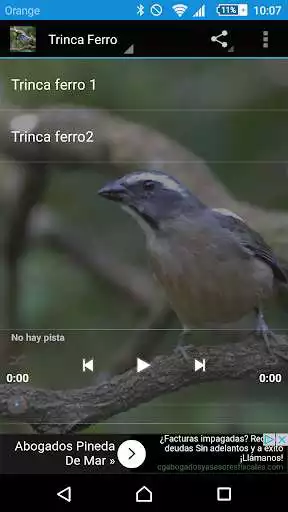 Play ferro trinca