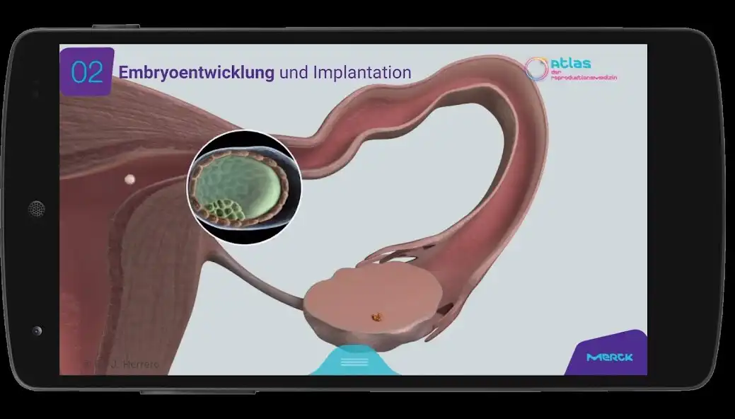 Play Fertility Atlas - Merck as an online game Fertility Atlas - Merck with UptoPlay