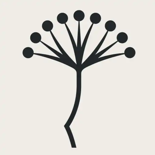 Play Festival de Málaga APK