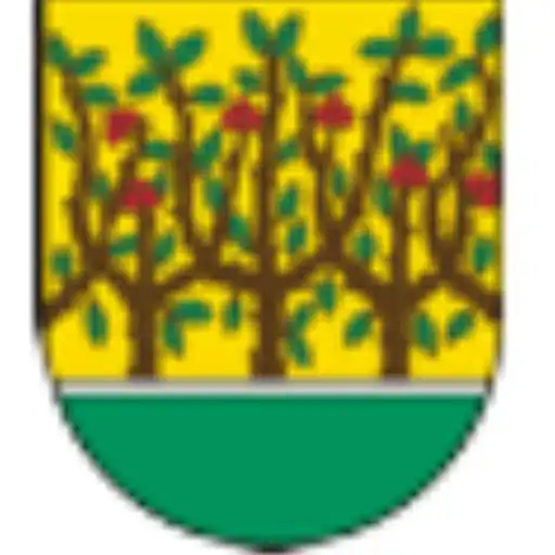 Play Feuerwehr Grupenhagen APK