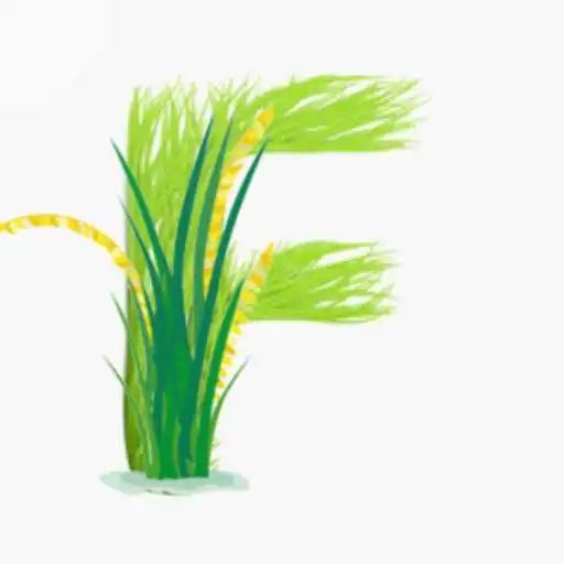 Play Fhasal : Buy Crop from farmers APK Play Fhasal : Buy Crop from farmers APK