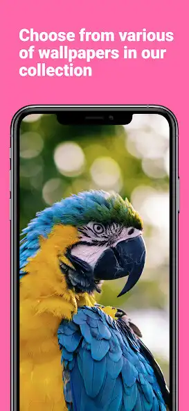 Play FHD Wallpapers 2022 as an online game FHD Wallpapers 2022 with UptoPlay