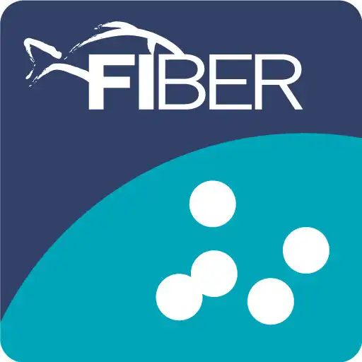 Play FIBER Laichzeit APK