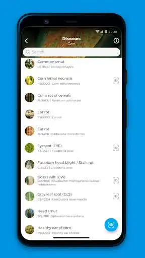 Play FieldCatcher as an online game FieldCatcher with UptoPlay